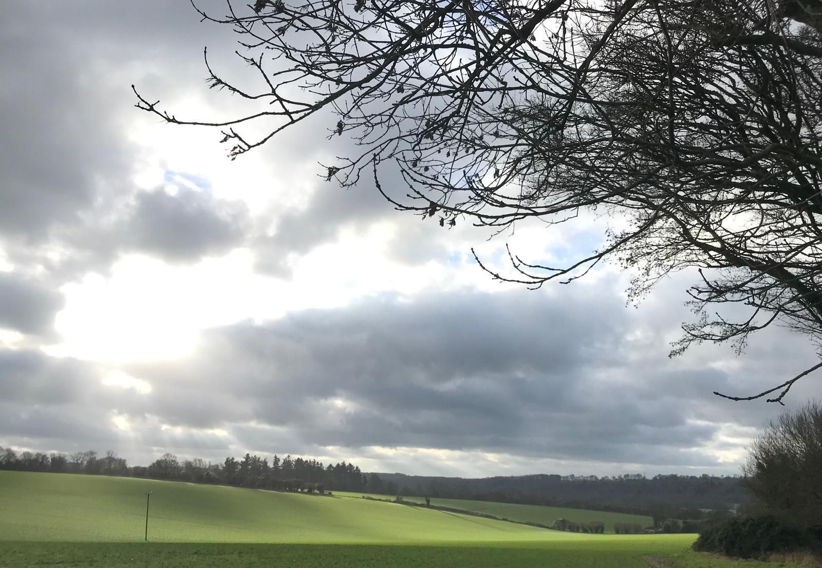 Our green and pleasant land